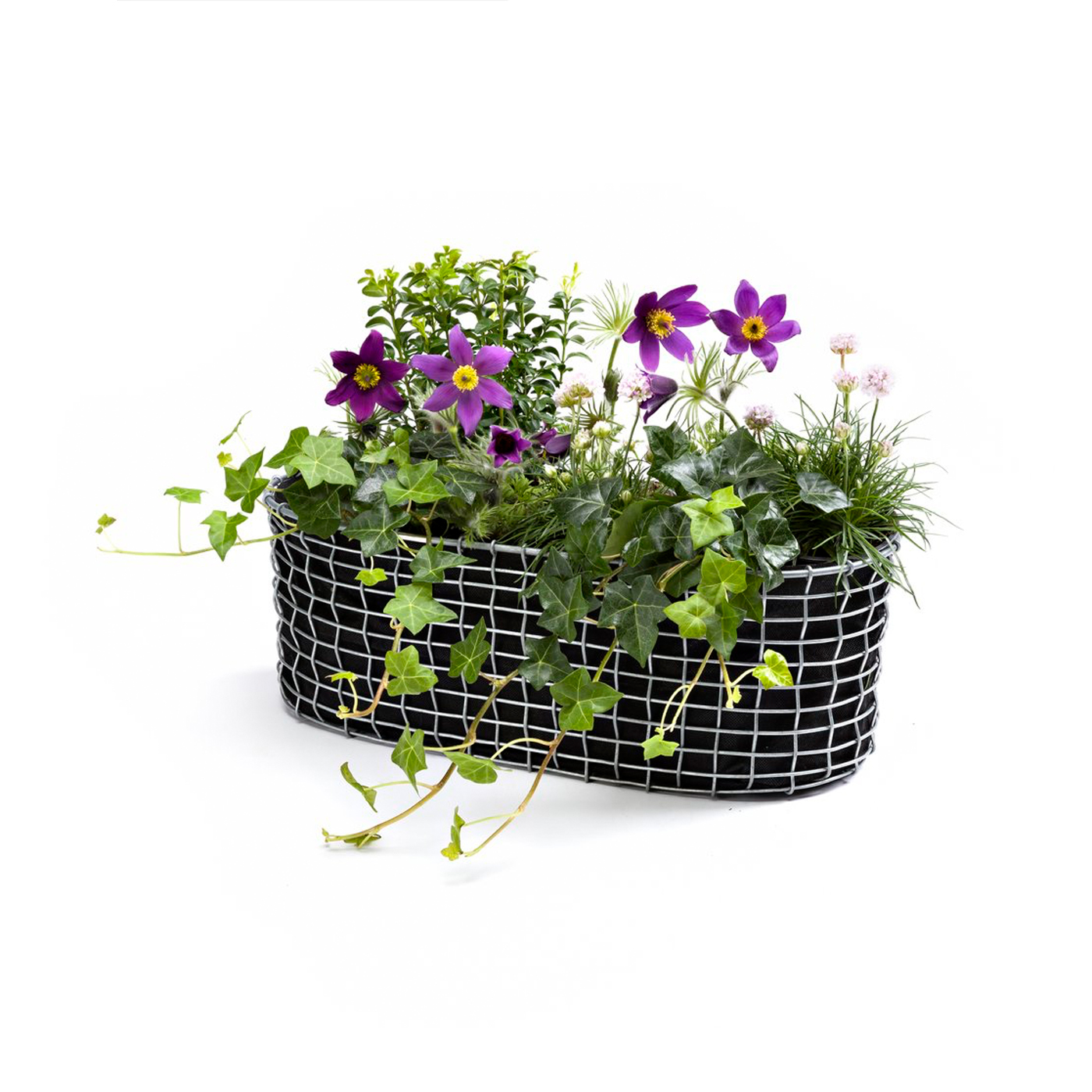 Korbo Balcony Planting Basket